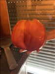 https://rehost.diberie.com/Picture/Get/t/528102