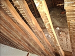https://rehost.diberie.com/Picture/Get/t/528178