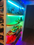 https://rehost.diberie.com/Picture/Get/t/529067