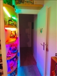 https://rehost.diberie.com/Picture/Get/t/529068
