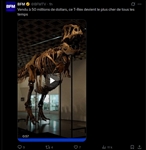 https://rehost.diberie.com/Picture/Get/t/529435