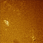 https://rehost.diberie.com/Picture/Get/t/530610