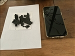 https://rehost.diberie.com/Picture/Get/t/531061