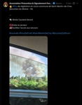 https://rehost.diberie.com/Picture/Get/t/531311