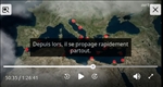https://rehost.diberie.com/Picture/Get/t/533501