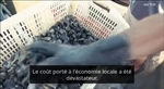 https://rehost.diberie.com/Picture/Get/t/533506