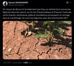https://rehost.diberie.com/Picture/Get/t/533583