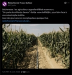 https://rehost.diberie.com/Picture/Get/t/534806