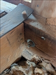 https://rehost.diberie.com/Picture/Get/t/536884
