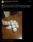 https://rehost.diberie.com/Picture/Get/t/539571
