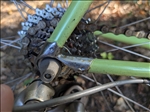 https://rehost.diberie.com/Picture/Get/t/543384