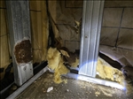 https://rehost.diberie.com/Picture/Get/t/76961