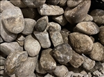 https://rehost.diberie.com/Picture/Get/t/77115