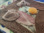 https://rehost.diberie.com/Picture/Get/t/78779