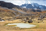 https://rehost.diberie.com/Picture/Get/t/88024