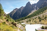 https://rehost.diberie.com/Picture/Get/t/88029