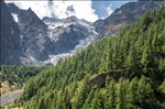 https://rehost.diberie.com/Picture/Get/t/88030