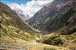 https://rehost.diberie.com/Picture/Get/t/88077