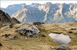 https://rehost.diberie.com/Picture/Get/t/88162
