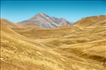 https://rehost.diberie.com/Picture/Get/t/88210