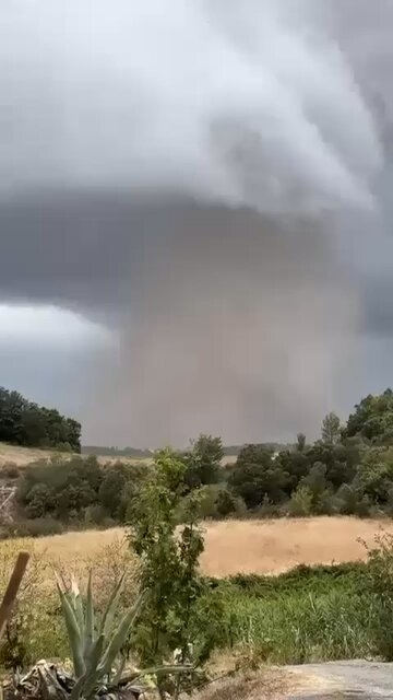 https://rehost.diberie.com/Rehost?size=min&url=https://pbs.twimg.com/amplify_video_thumb/2091909333739040768/img/-UXcYTddczWfLf-H.jpg&hfr-url-data=https%3A%2F%2Fvideo.twimg.com%2Famplify_video%2F2091909333739040768%2Fvid%2Favc1%2F360x640%2FQWEzHrWJ2ez4790C.mp4&hfr-media-type=video%2Fmp4