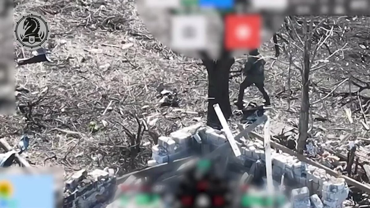 https://rehost.diberie.com/Rehost?size=min&url=https://pbs.twimg.com/amplify_video_thumb/1773618645861535744/img/L9BSHmVUlasgWf5h.jpg&hfr-url-data=https%3A%2F%2Fvideo.twimg.com%2Famplify_video%2F1773618645861535744%2Fvid%2Favc1%2F1280x720%2FYBrR-9AUJjPzCgcC.mp4%3Ftag%3D14&hfr-media-type=video%2Fmp4