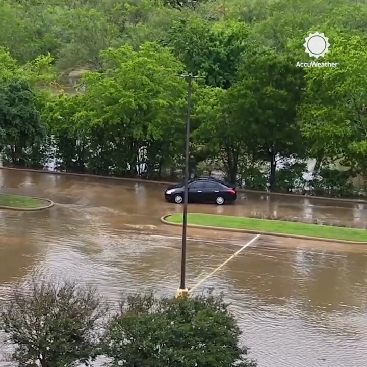 https://rehost.diberie.com/Rehost?size=min&url=https://pbs.twimg.com/ext_tw_video_thumb/1786094957943472128/pu/img/1EaYYwqYpV55PAhc.jpg&hfr-url-data=https%3A%2F%2Fvideo.twimg.com%2Fext_tw_video%2F1786094957943472128%2Fpu%2Fvid%2Favc1%2F720x720%2FsGmJ_hmA3RHo1qQu.mp4%3Ftag%3D12&hfr-media-type=video%2Fmp4