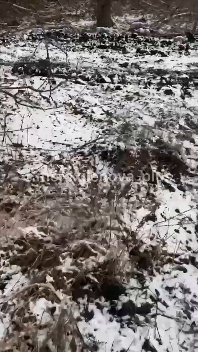 https://rehost.diberie.com/Rehost?size=min&url=https://pbs.twimg.com/ext_tw_video_thumb/1886014923488030720/pu/img/e7MGLufdfn6Twf9F.jpg&hfr-url-data=https%3A%2F%2Fvideo.twimg.com%2Fext_tw_video%2F1886014923488030720%2Fpu%2Fvid%2Favc1%2F720x1280%2F19D7z9NwwFNmQWOu.mp4%3Ftag%3D12&hfr-media-type=video%2Fmp4