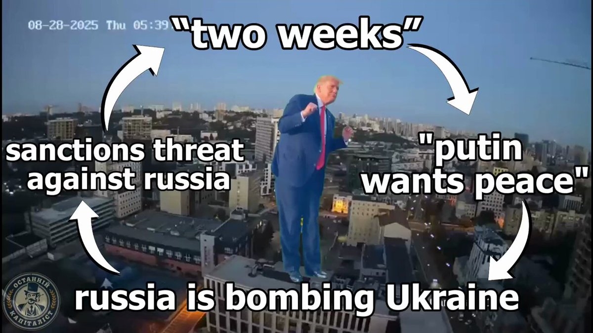 https://rehost.diberie.com/Rehost?size=min&url=https://pbs.twimg.com/ext_tw_video_thumb/1961000845912236033/pu/img/nxglzgBz7R06GI9L.jpg&hfr-url-data=https%3A%2F%2Fvideo.twimg.com%2Fext_tw_video%2F1961000845912236033%2Fpu%2Fvid%2Favc1%2F1280x720%2Fnjpm97YOUjw_yIWE.mp4%3Ftag%3D12&hfr-media-type=video%2Fmp4