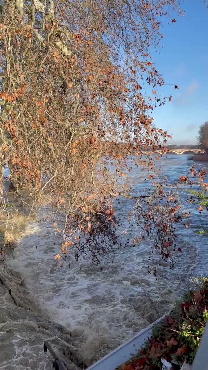 https://rehost.diberie.com/Rehost?size=min&url=https://pbs.twimg.com/ext_tw_video_thumb/1480846190312931330/pu/img/zh7Pdm4X0bxY5J8k.jpg