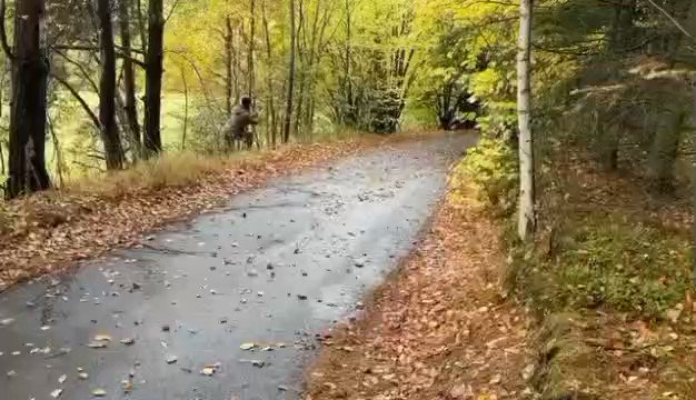 https://rehost.diberie.com/Rehost?size=min&url=https://pbs.twimg.com/ext_tw_video_thumb/1717868472460353536/pu/img/w7E4ZqjliHoLnyZ8.jpg&hfr-url-data=https%3A%2F%2Fvideo.twimg.com%2Fext_tw_video%2F1717868472460353536%2Fpu%2Fvid%2Favc1%2F626x360%2FzXzCAvtOK9RPkskY.mp4%3Ftag%3D12