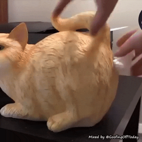 https://rehost.diberie.com/Uploads/0/20220627-190527-2be167ff-62f8-4e59-8a2f-66133bcd537c.0.pic.gif
