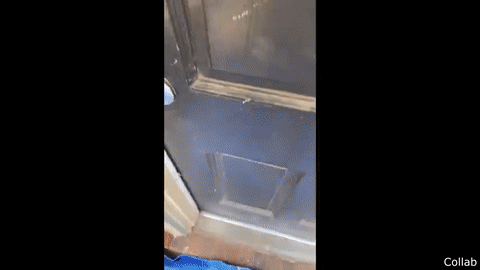 https://rehost.diberie.com/Uploads/0/20220630-122245-39477097-fed1-4b53-b3b1-4d425cad8f31.0.pic.gif