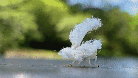 https://rehost.diberie.com/Uploads/0/20220705-101944-4e4f9c74-5dba-4d57-a353-14390a94212e.0.pic.gif