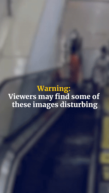 https://rehost.diberie.com/Uploads/0/20220719-101904-accf6042-ccc1-4047-a9bc-cb1d49e928db.0.pic.gif