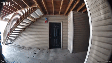 https://rehost.diberie.com/Uploads/0/20220723-124026-1d5d4407-d38a-4311-895a-2c49ecf75bde.0.pic.gif