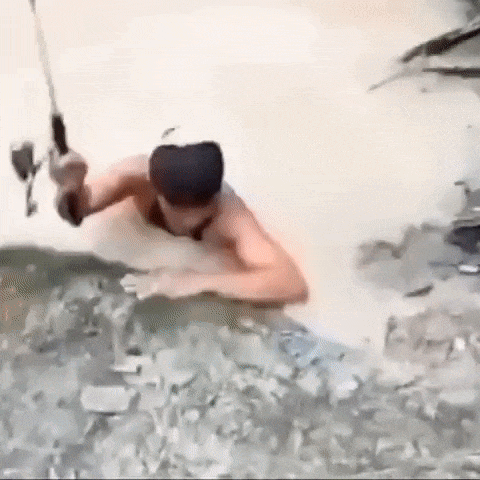 https://rehost.diberie.com/Uploads/0/20220729-193723-d01a28f9-d2ce-45d6-89af-380d2eb44490.0.pic.gif