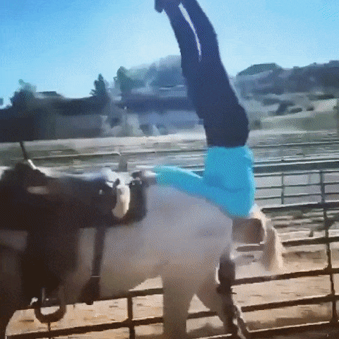 https://rehost.diberie.com/Uploads/0/20220802-203312-5fd3d83e-e879-4209-9185-cd7a80ad1be5.0.pic.gif
