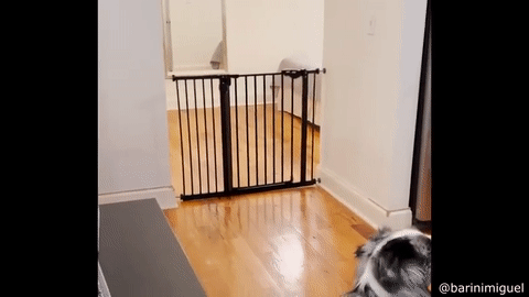 https://rehost.diberie.com/Uploads/0/20220803-092428-b269f944-26e1-4793-9fbf-dc54a87a61ec.0.pic.gif