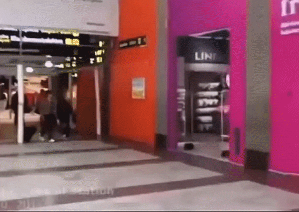 https://rehost.diberie.com/Uploads/0/20220803-183836-f39f23dd-8791-4a70-b320-4517ffa7e7ac.0.pic.gif