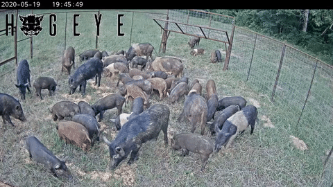https://rehost.diberie.com/Uploads/0/20220811-232022-fbc2fb72-eebc-4700-b984-9f516427a1f1.0.pic.gif