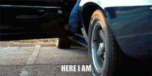 https://rehost.diberie.com/Uploads/0/20220829-135825-91052370-0ecd-451b-9ce8-2c59618c3251.0.pic.gif