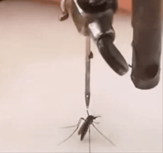 https://rehost.diberie.com/Uploads/0/20220829-231837-084d74f8-85a0-418a-9c54-ffec87ac056a.0.pic.gif