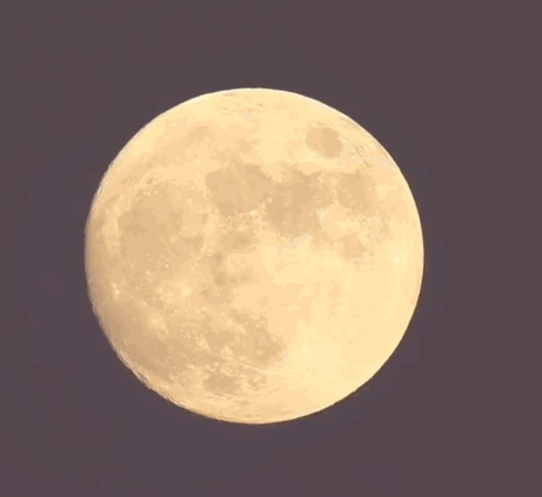 https://rehost.diberie.com/Uploads/0/20221011-161350-e7100bbd-9cfa-4621-8379-f550b714bdad.0.pic.gif