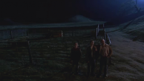 https://rehost.diberie.com/Uploads/0/20221111-112548-dda6c44d-76e4-4860-a564-b5b9a6f1cd82.0.pic.gif