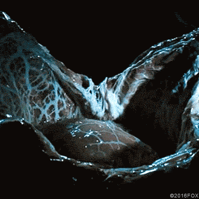 https://rehost.diberie.com/Uploads/0/20230412-174427-ee532d13-e5b1-401d-9f02-e222a0a0d6b9.0.pic.gif