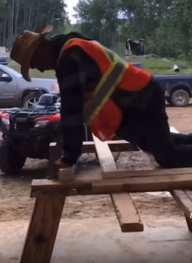 20230427-200159-74c9fac2-5a11-43fe-9c22-bd6f99a07e98.0.pic.gif
