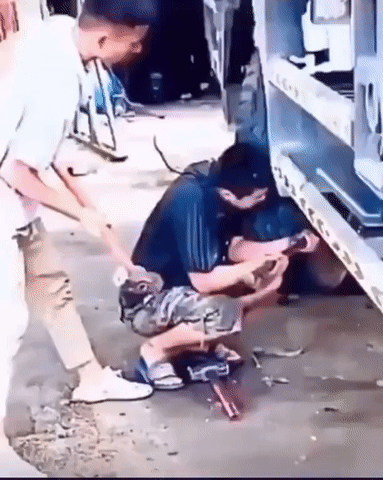 https://rehost.diberie.com/Uploads/0/20230511-224924-42f81271-2db0-44c7-b732-4baedafb9bf9.0.pic.gif