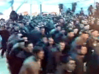 https://rehost.diberie.com/Uploads/0/20240705-193605-bca9af58-11dd-46c7-82cc-4422e037ad4d.0.pic.gif