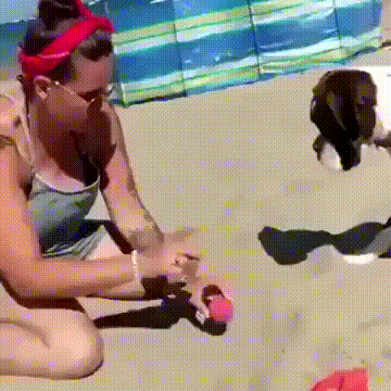 https://rehost.diberie.com/Uploads/0/20241105-175845-0c10a6cd-2071-4ef6-accc-dce8dc769443.0.pic.gif